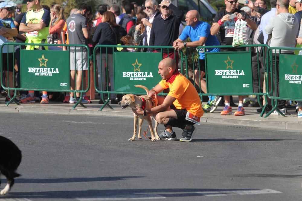 Canicross del Cross de Artillería