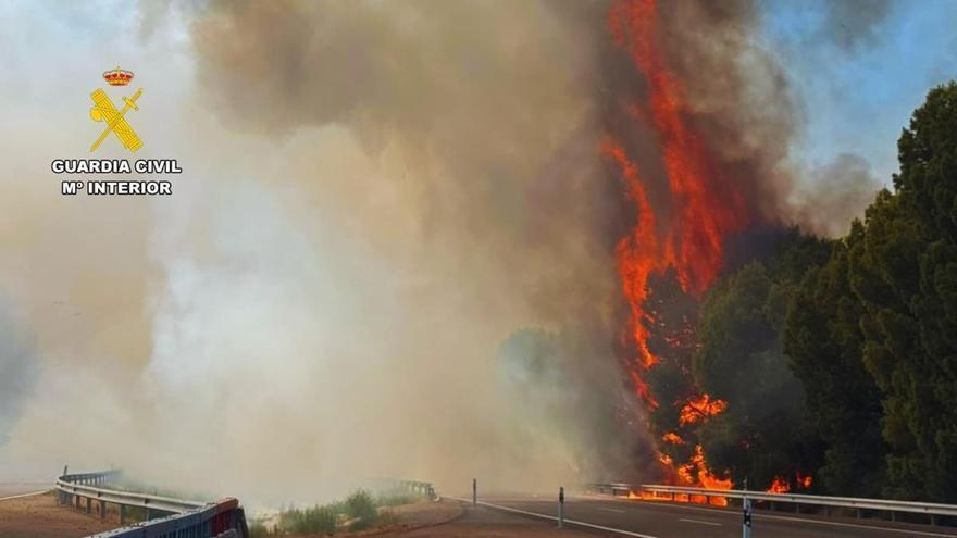 Espectacular incendio que ha obligado a cortar la AP-2 en Osera de Ebro