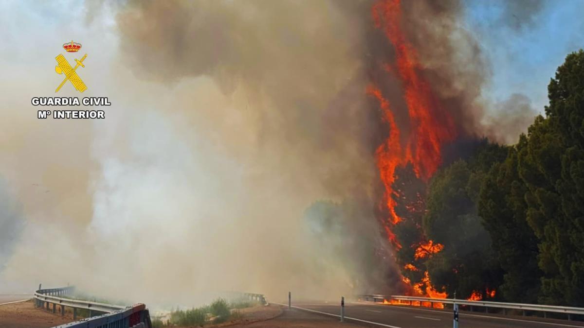 Espectacular incendio que ha obligado a cortar la AP-2 en Osera de Ebro