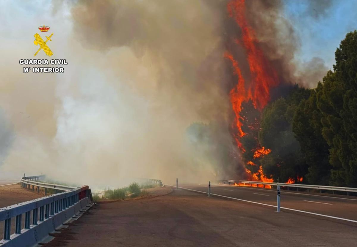 En imágenes I Un incendio en la AP-2, en Zaragoza, obliga a cortar el tráfico En imágenes I Un incendio en la AP-2, en Zaragoza, obliga a cortar el tráfico