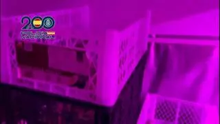 Cinco detenidos en Valencia y 4,6 toneladas de hachís en Silla en un macrooperativo policial contra el narcotráfico