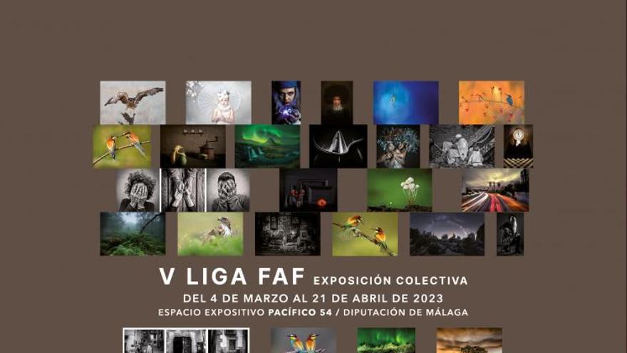 V Liga FAF