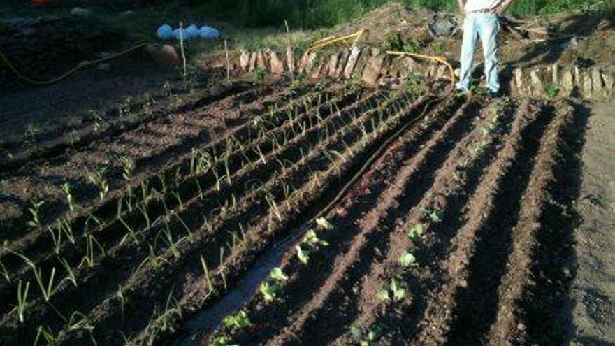 Un veí de la Cerdanya fent les tasques de preparació de l&#039;hort