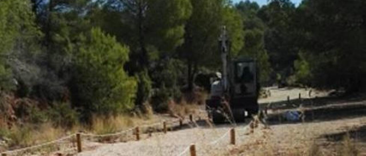 Preparativos para una prueba deportiva en terrenos forestales.