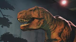 Nuevos primos de los T-rex agrandan la edad de los dinosaurios en África