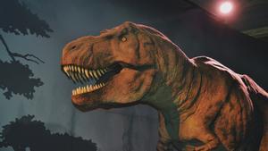 Ejemplo de dinosaurio en el Museo de Historia Natural de Londres.