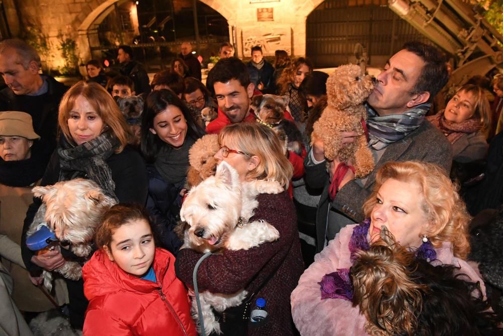 Bendición de mascotas en A Coruña