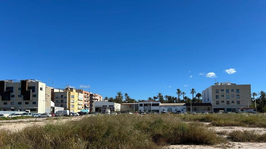 Elche gana un espacio deportivo multiusos en pleno corazón del Palmeral