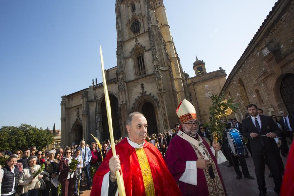 Bendición de ramos en la plaza de la Catedral