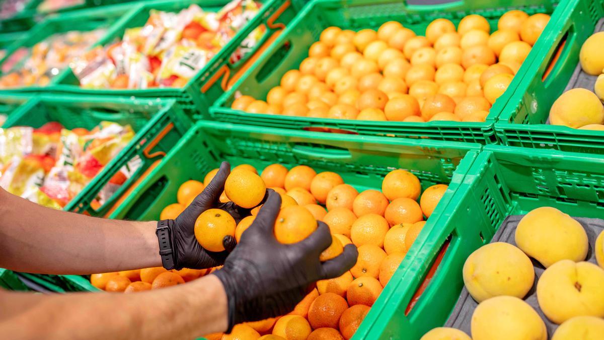 Origen de las naranjas, mandarinas y limones que vende Mercadona en sus supermercados.