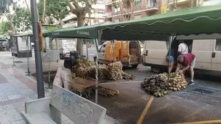 VÍDEO | La Feria del Ajo de Zamora desembarca en Tres Cruces: inauguración oficial