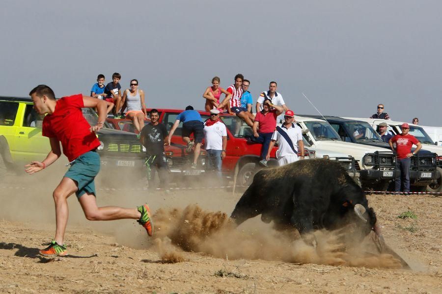 Villalpando despide los toros