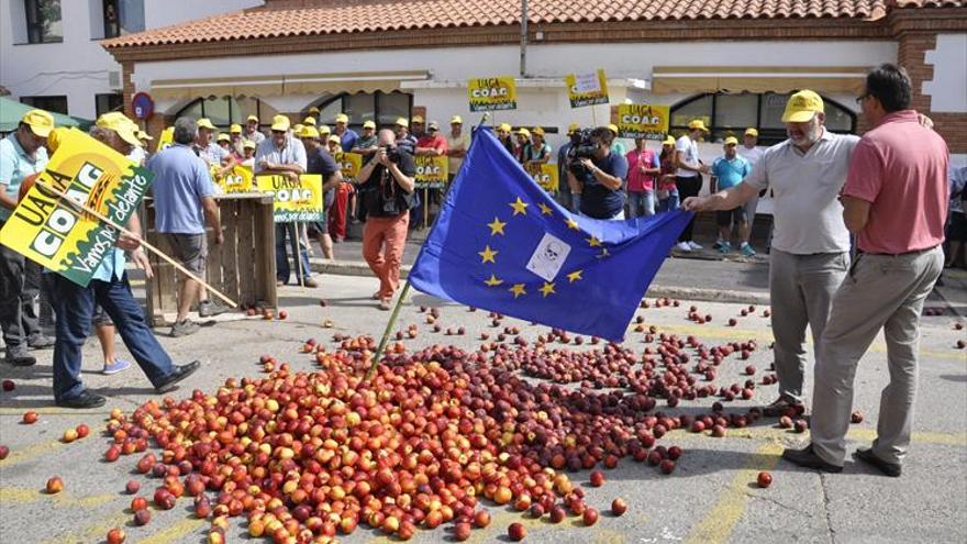 Bruselas amplía la retirada de fruta de hueso en 20.000 toneladas