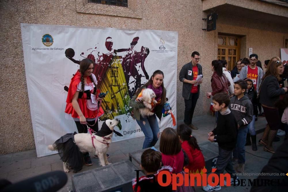 II Carnavaton en Cehegín