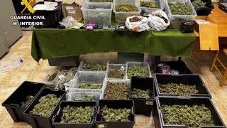 La Guardia Civil interviene diez kilos de cogollos de marihuana en una finca en Sencelles
