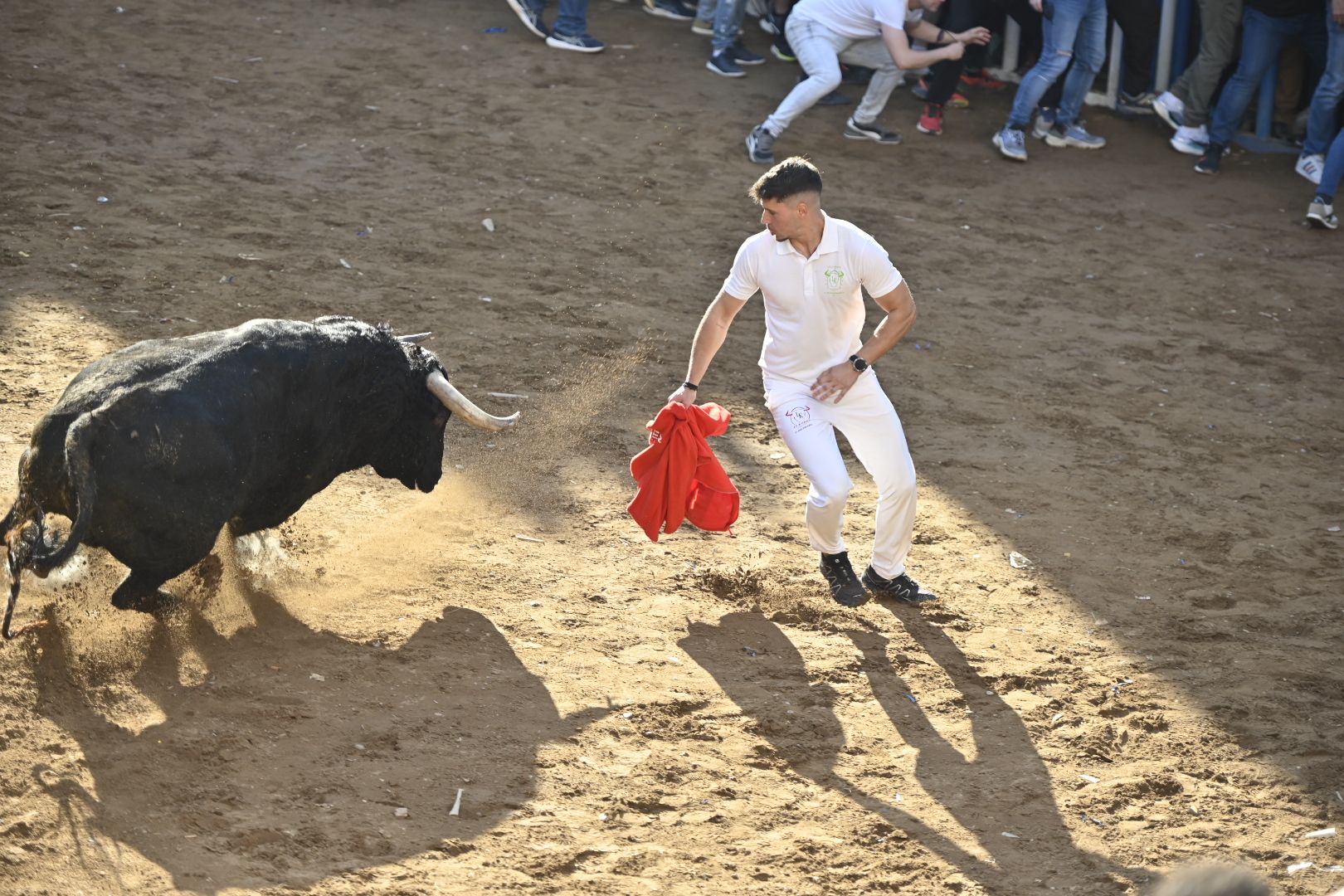 Galería | Primera tarde de toros en Almassora