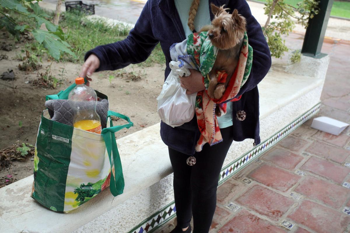 Una mujer recoge sus pertenencias tras pasar la noche de este sábado en un parque de Armilla. Una mujer recoge sus pertenencias tras pasar la noche de este sábado en un parque de Armilla.