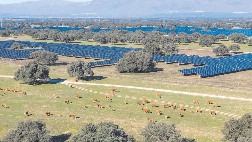 Arada Solar podrá suministrar 5.400 t de hidrógeno verde