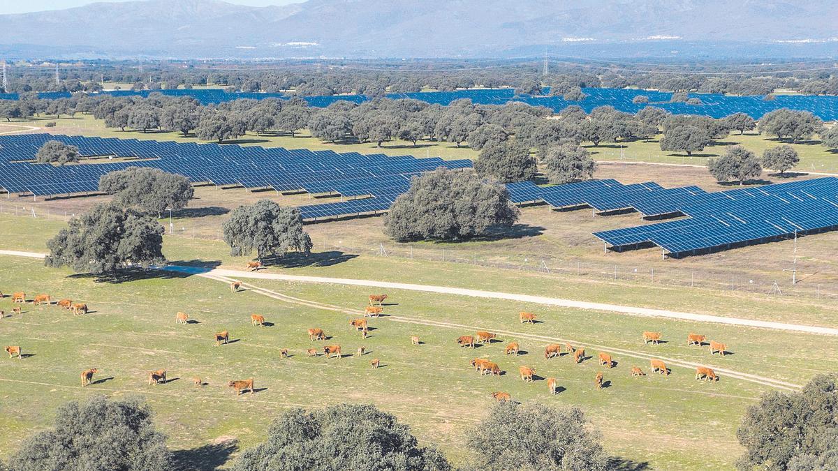 Imagen aérea de la planta fotovoltaica Talayuela II, de Statkraft, ubicada en la provincia de Cáceres. La firma mantiene un compromiso medioambiental con el territorio.
