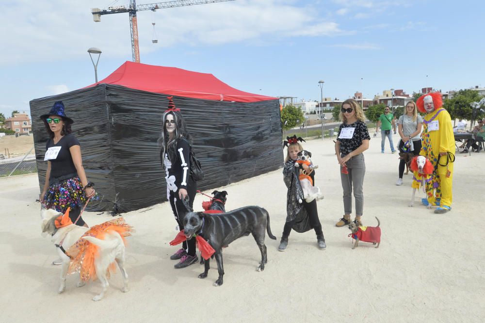 Halloween en el parque canino de Gran Alacant