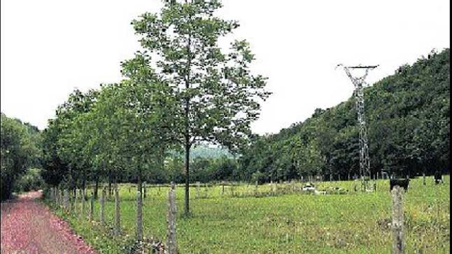 Terrenos en los que se ubicará el futuro polígono industrial de Rimoria.