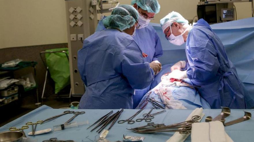 La Región de Murcia lideró el crecimiento en el número de donaciones de órganos en 2023