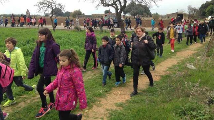 Si el tiempo acompaña, se puede ir al campo y aprovechar para contemplar los almendros en flor.