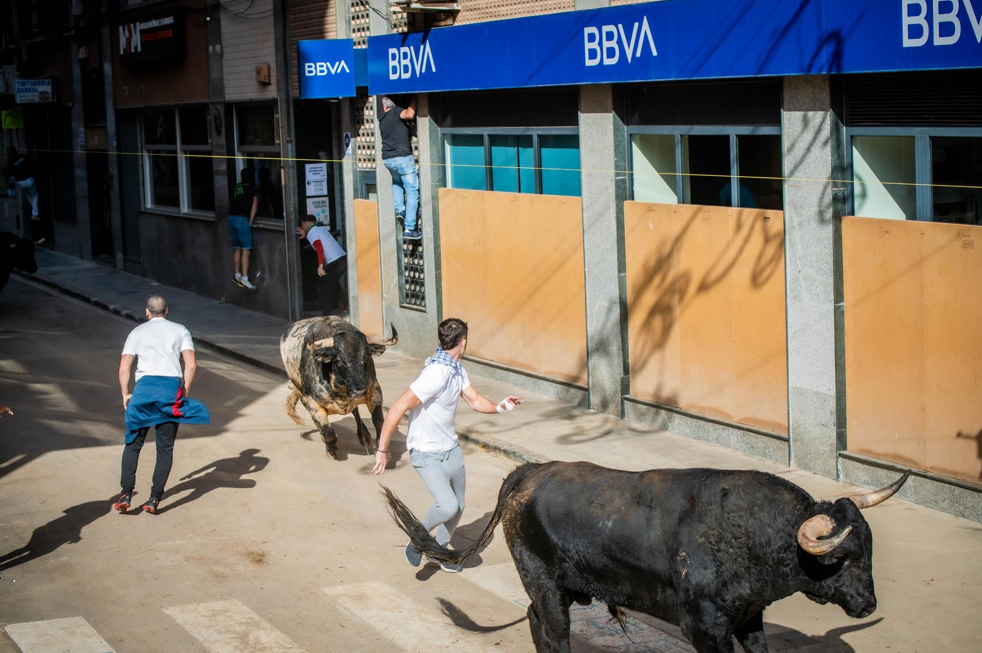 Las mejores imágenes del encierro de Couto de Fornilhos y Santa Teresa en Onda, el segundo de la Fira