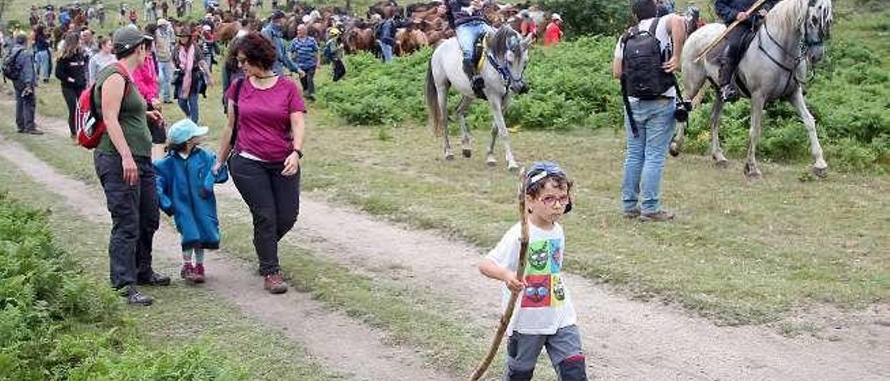 Hombre y caballo en un mismo camino