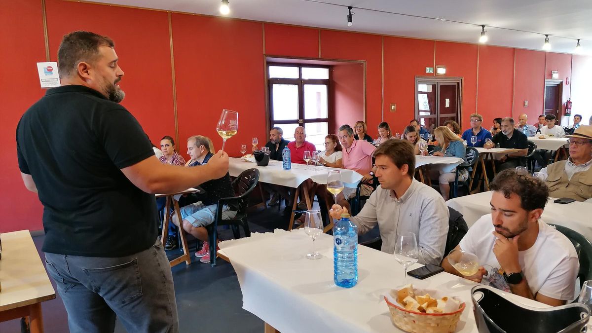 Los participantes en la cata observan el color de un vino blanco