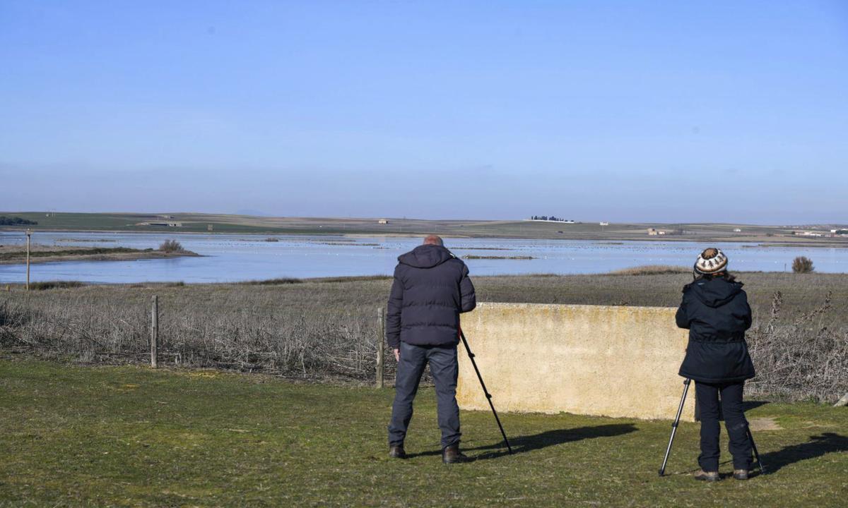 Dos personas observan aves en una de las lagunas de la Reserva Natural de Villafáfila. | ARCHIVO