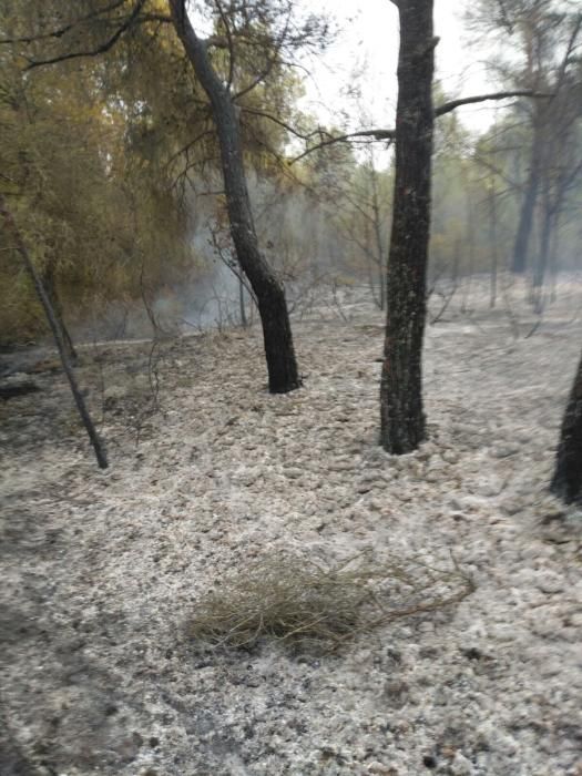 Incendio en sa Canova