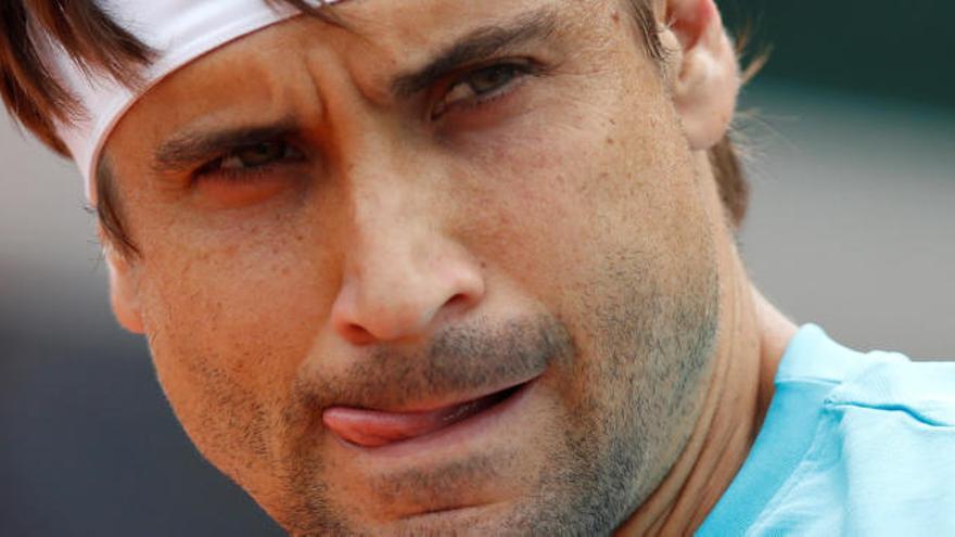 David Ferrer