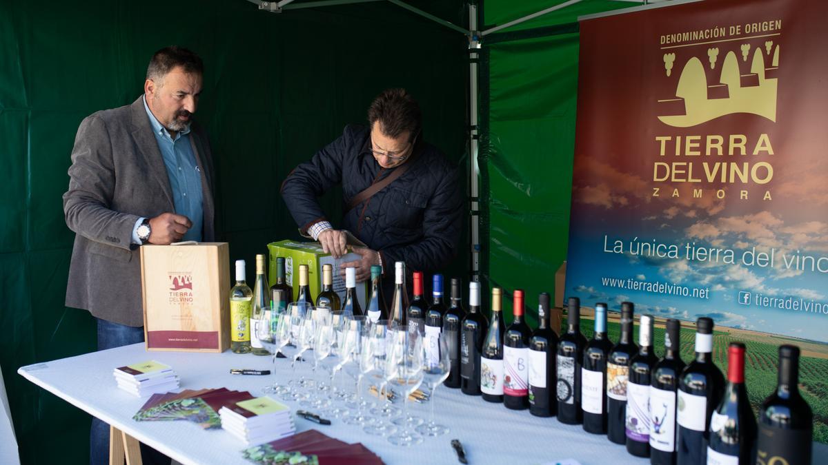 Expositor del vino Denominación de Origen Tierra del Vino.