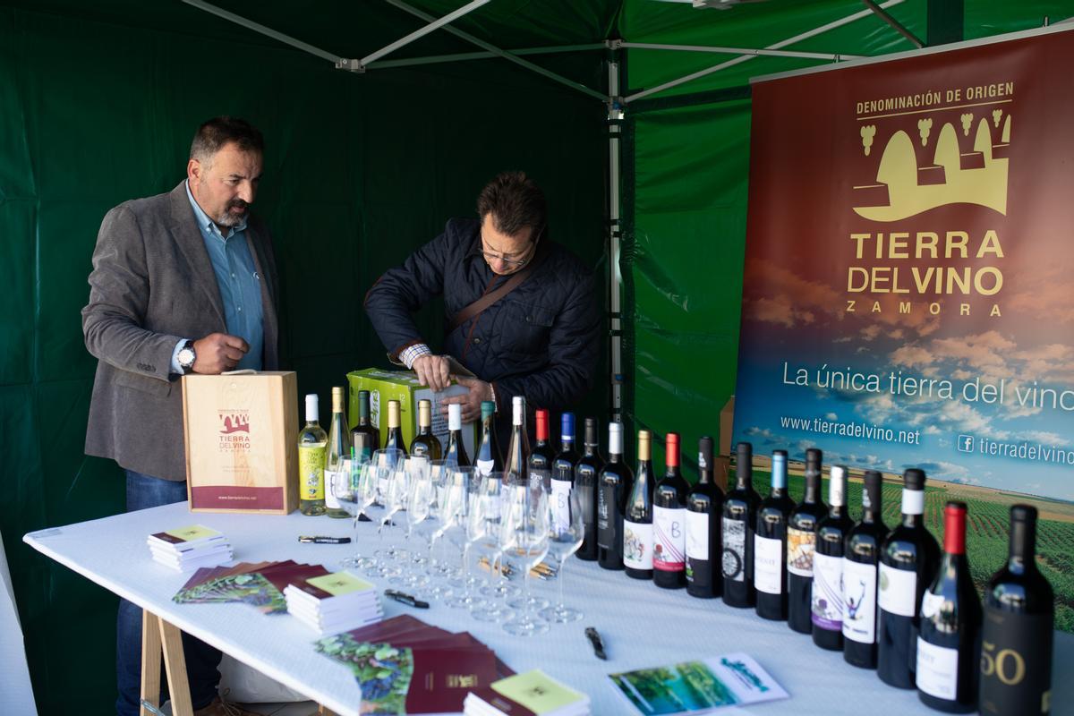Expositor del vino Denominación de Origen Tierra del Vino.