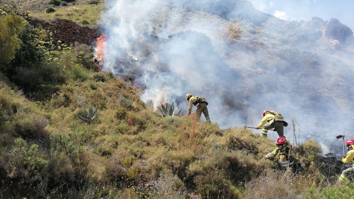 Efectivos antiincendios trabajan para apagar el fuego,