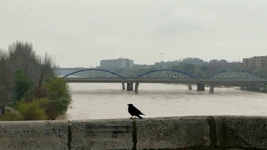 Crecida del río Ebro