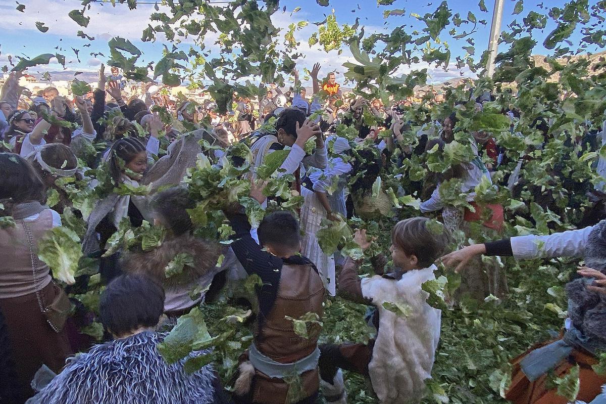 Lechugas al cielo para una batalla campal en Villena
