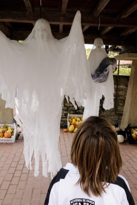 Calabazas en el Jardín Botánico de Gijón