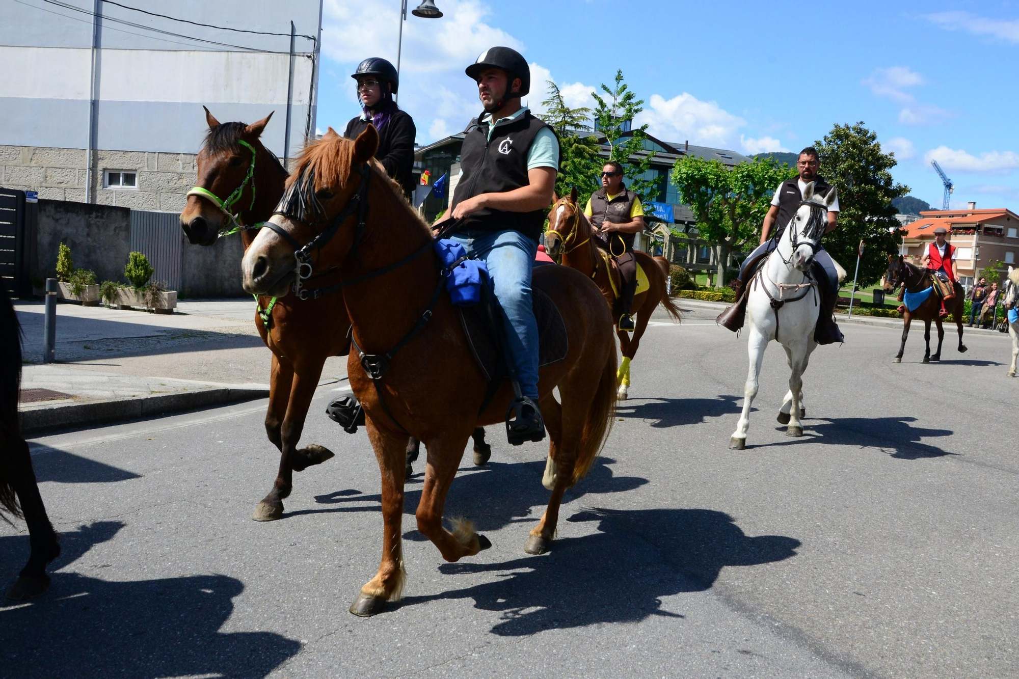 Más de 200 jinetes en la Xuntaza Cabalar de Moaña