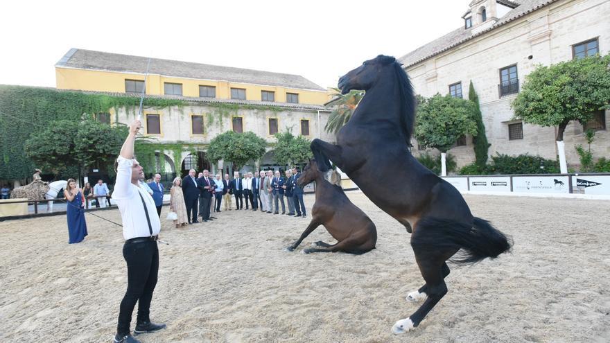 Inauguración de Cabalcor 2022