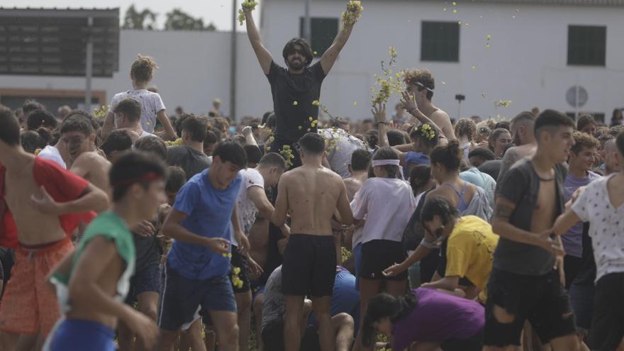 Guerra multitudinaria de uvas para arrancar las fiestas de Binissalem