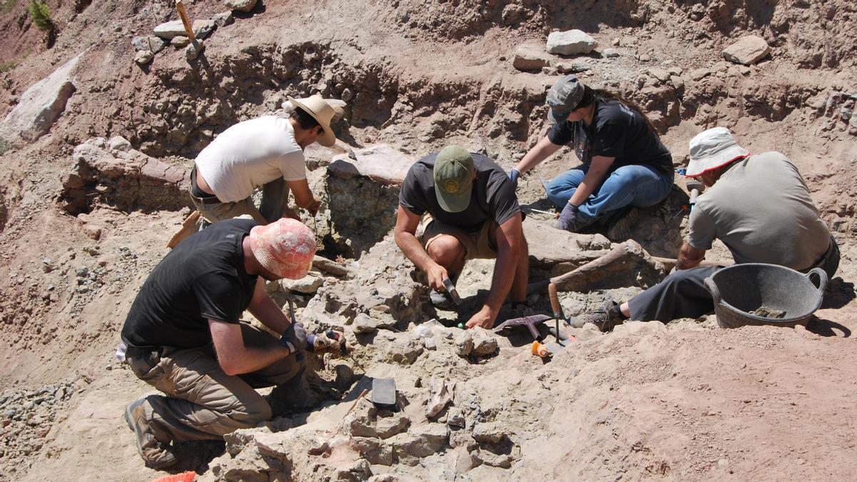 Paleontólogos encuentran fósiles de un gran dinosaurio saurópodo en el Mas de Romeu de Morella.