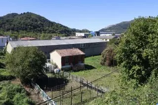 Langreo espera que la llegada de Indra impulse un polo industrial en Barros:  "Puede suponer un empujón para todo el entorno del taller de Duro"