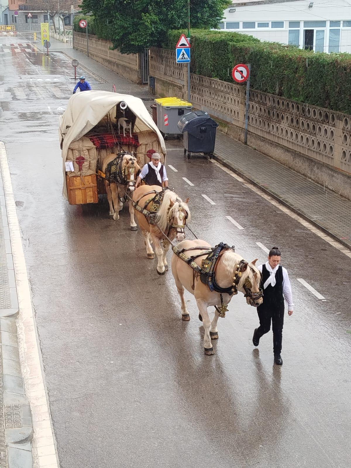 Festa de Sant Antoni de Sant Vicenç de Castellet