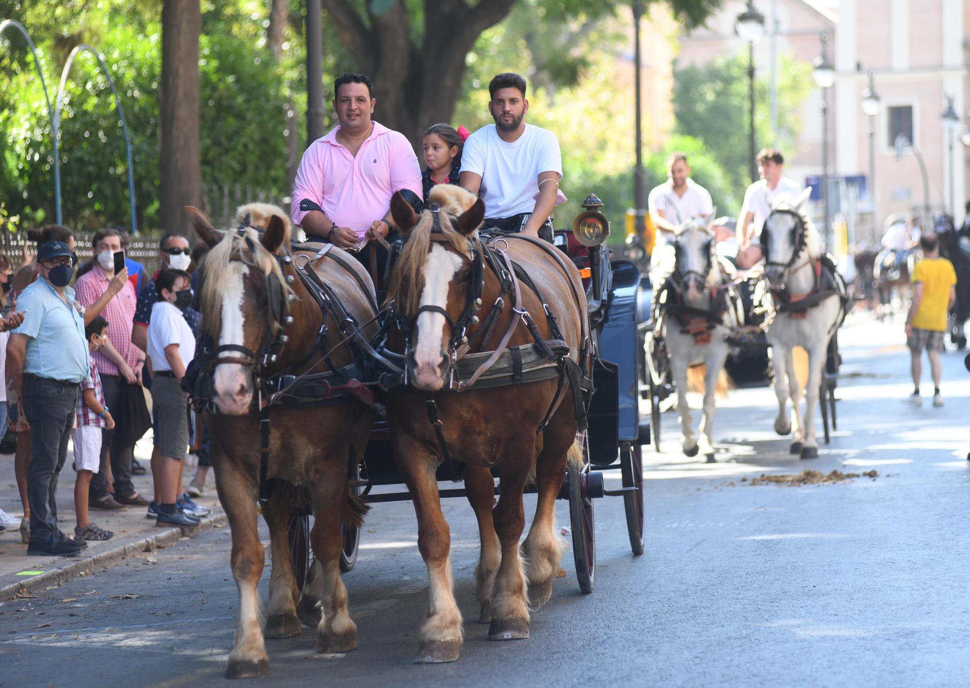 Paseo-desfile de carruajes y caballos en Murcia