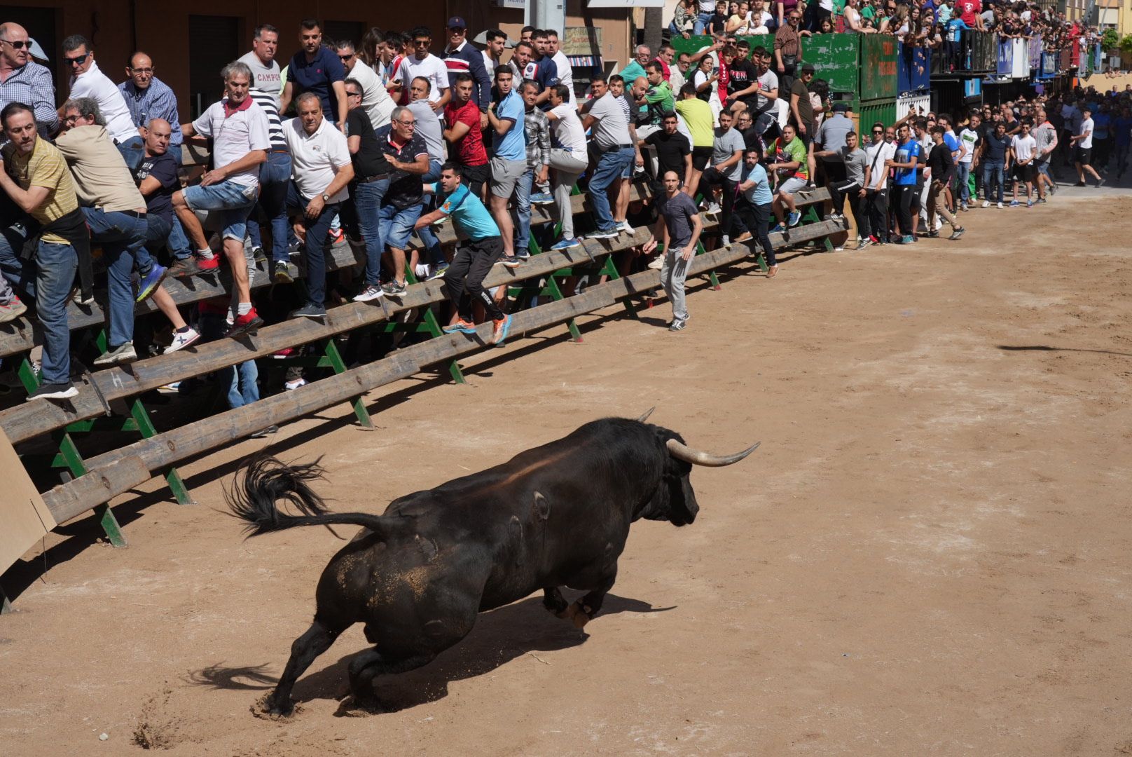 Galería: El primer encierro de las fiestas de Sant Pasqual 2023 en imágenes