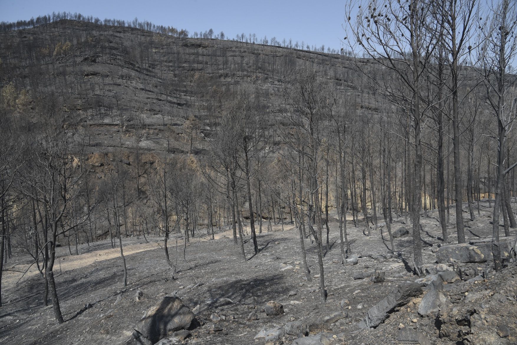 Així ha afectat el foc les tines de la Vall del Flequer