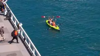 Ojo a la suerte de estos aficionados de béisbol: La pelota del home-run les cae... ¡En su kayak!