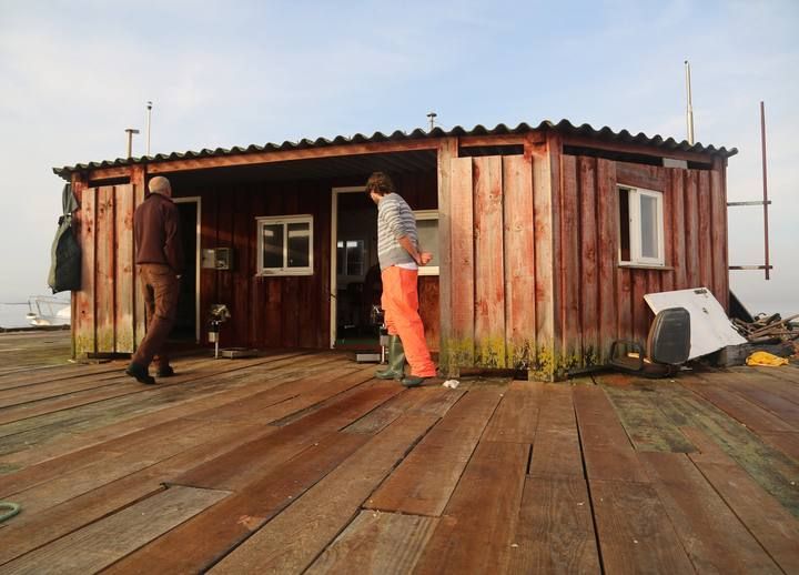 Libre marisqueo O Grove